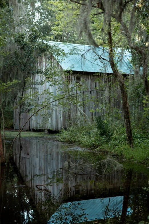 a wooden barn and swamp reflecting in water