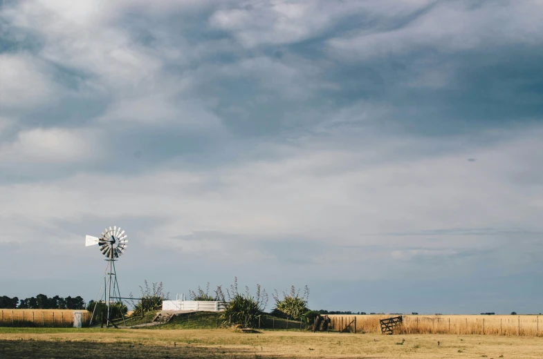 an empty field with a windmill near the field