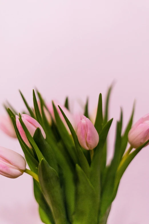 a vase with some pink flowers in it