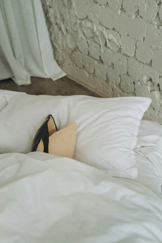 the high heels are laying on the pillow on the bed