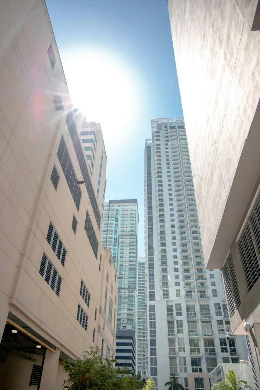 looking up at apartment buildings on a sunny day