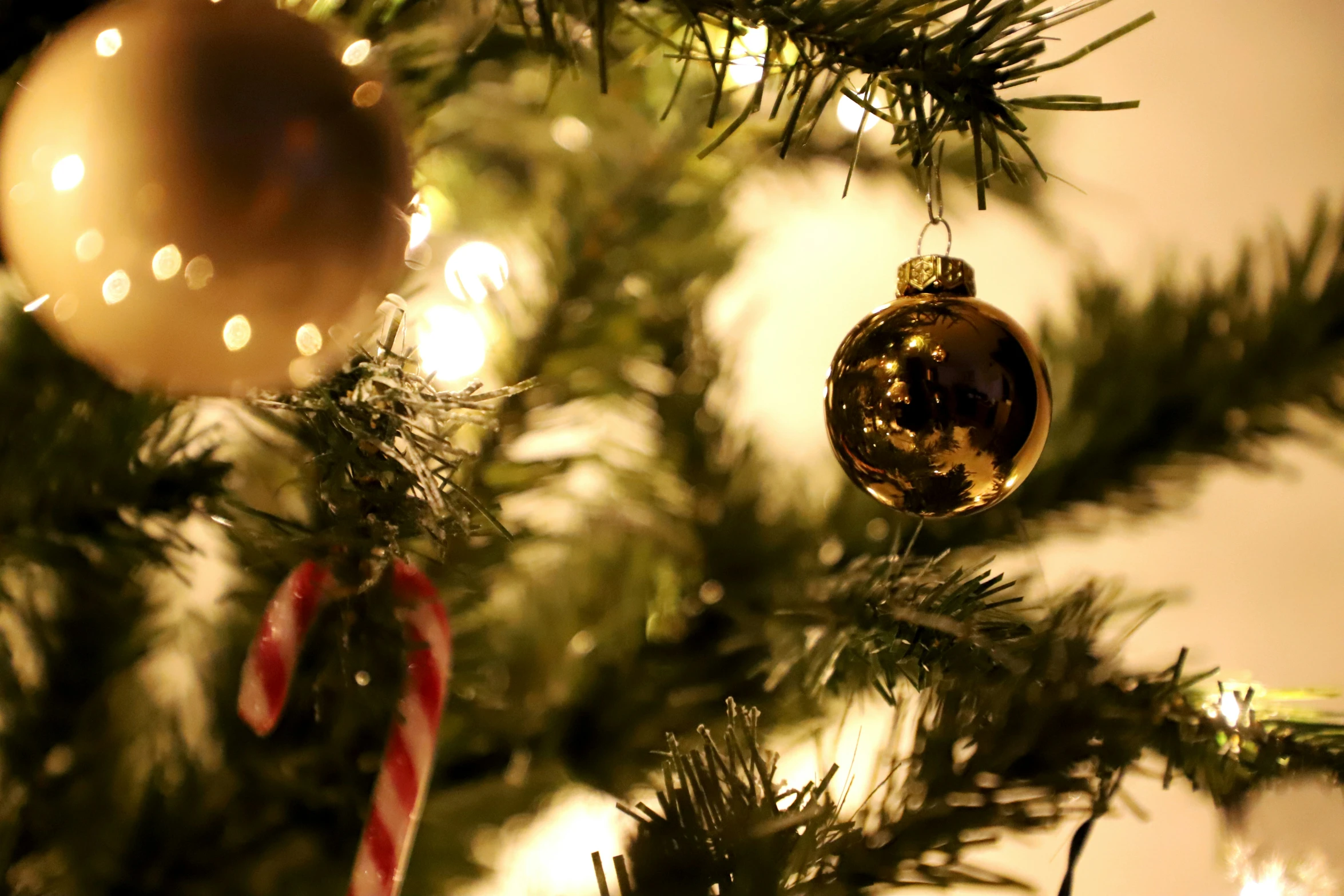 an ornament hanging on a christmas tree