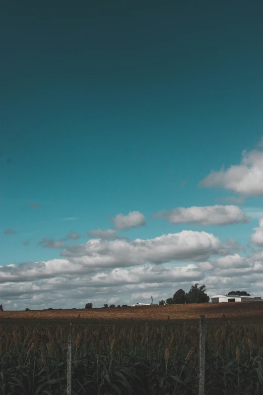 a farm field with clouds and houses