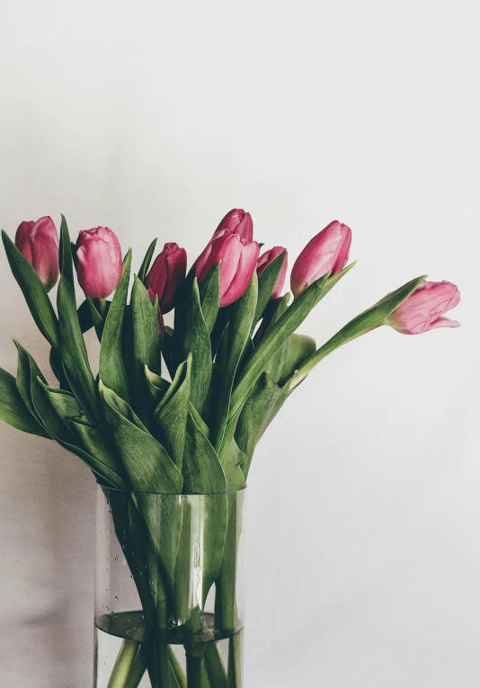 a vase filled with flowers and green leaves