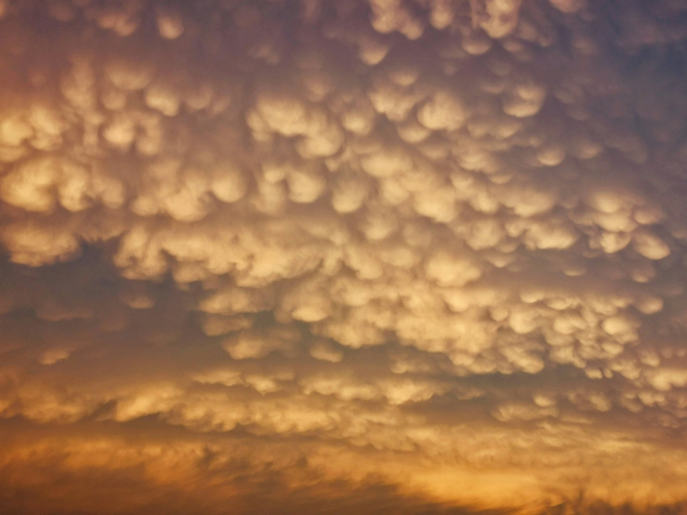 the evening sky with multiple cloud formations moving