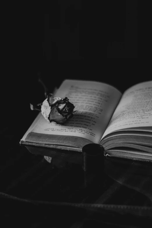 an open book with a flower resting on it