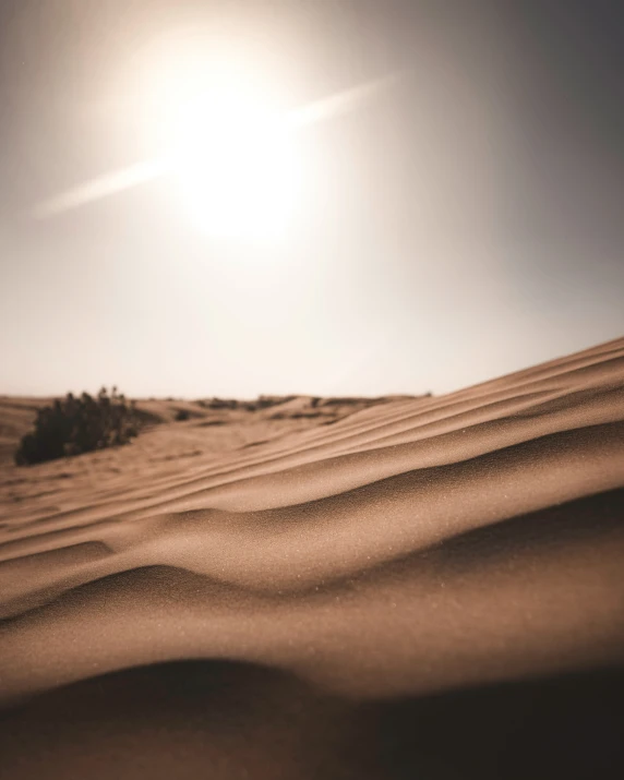 a field with lots of sand on it