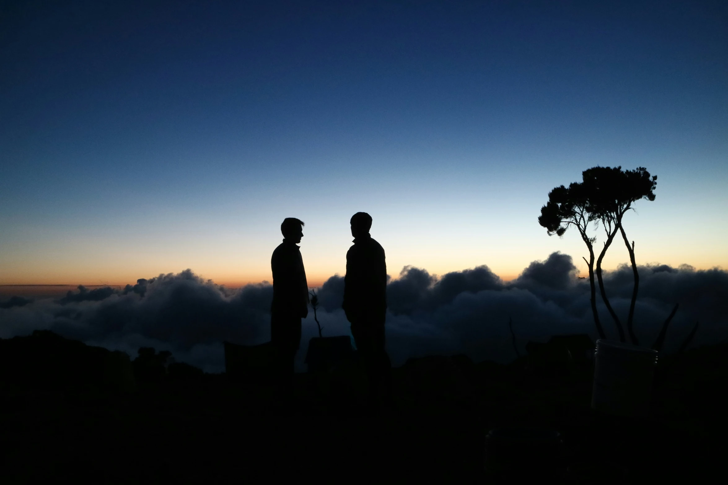 two people standing on top of a mountain with clouds and a tree