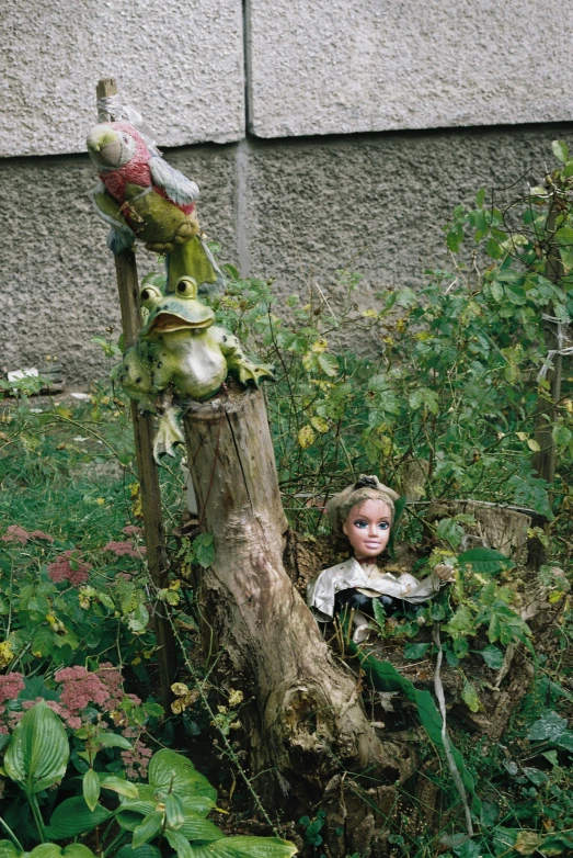 a doll sits in a broken tree in front of a building