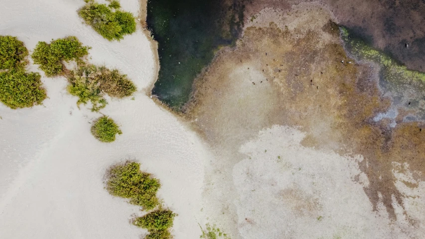 an aerial view of a dirt and grass land