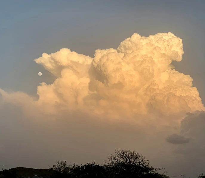 the large cloud is rolling in over some trees