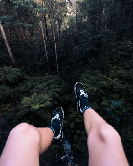 a person in sneakers stands on a tree