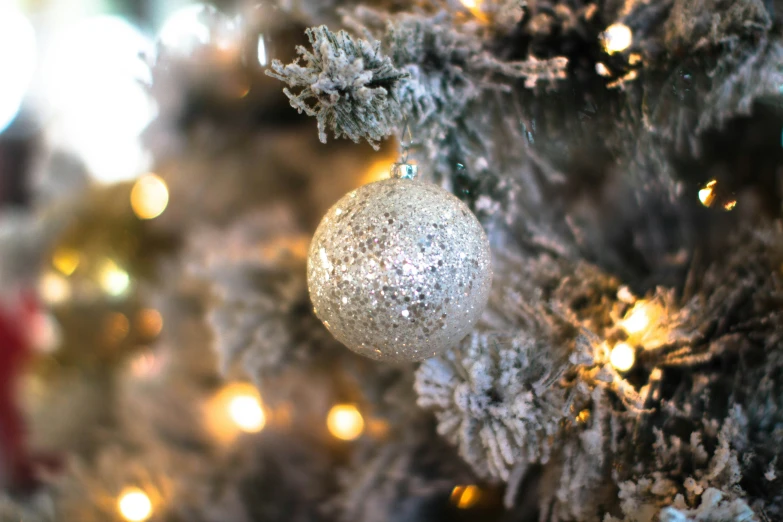 a small silver ball hanging on the side of a christmas tree