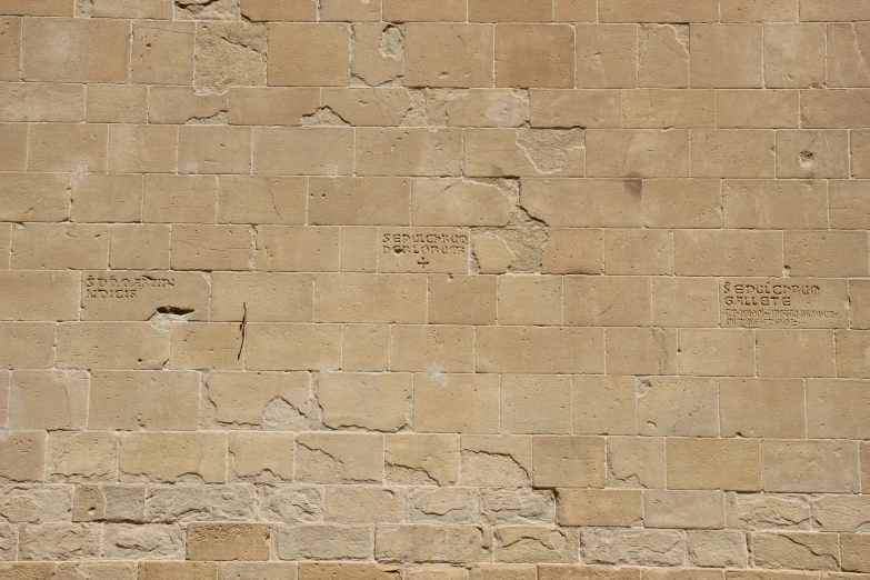 a bird is sitting on the side of a wall