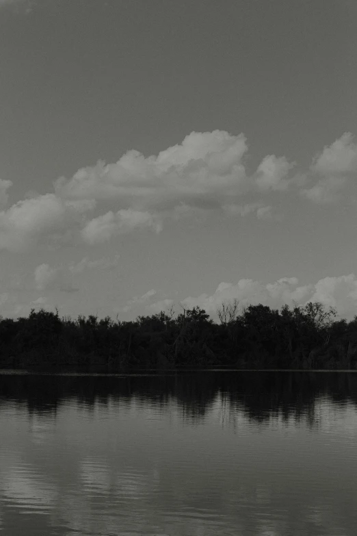 a man flying a kite over water and trees