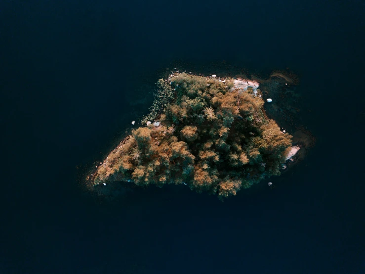 an aerial s shows small areas that appear to be a lot of vegetation