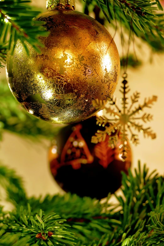 a golden ornament hangs from a pine tree