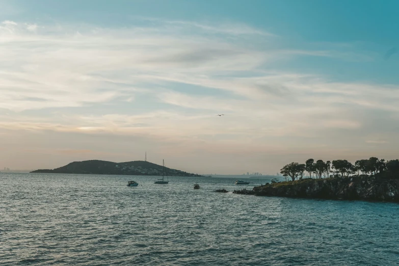 an island with palm trees and people standing near it