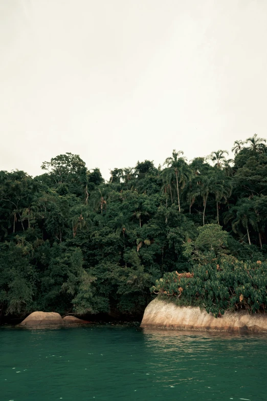 trees and an island sit at the edge of the water