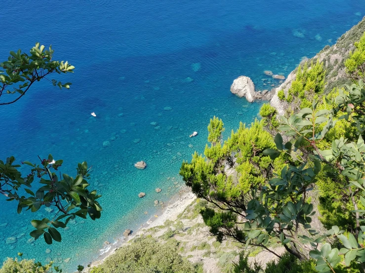 a blue water body of water surrounded by trees