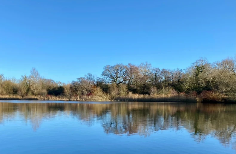 there is a view of the water and trees