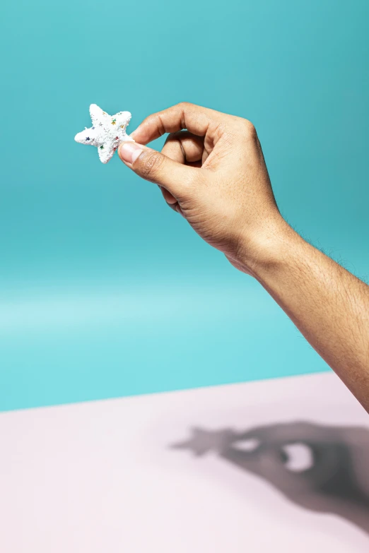 a hand holding an object that looks like a starfish