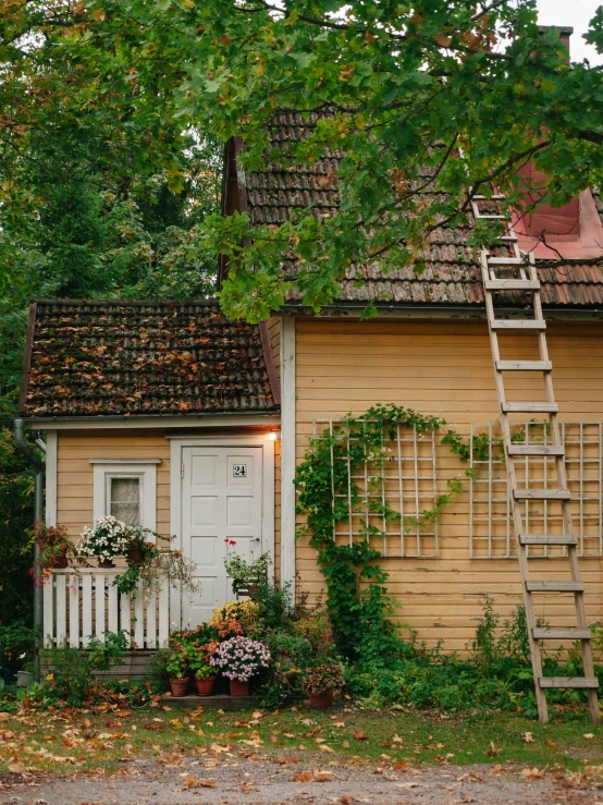 a small wooden house with a ladder leaning on it