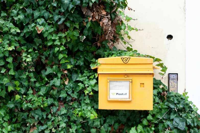 a yellow mailbox is near the wall