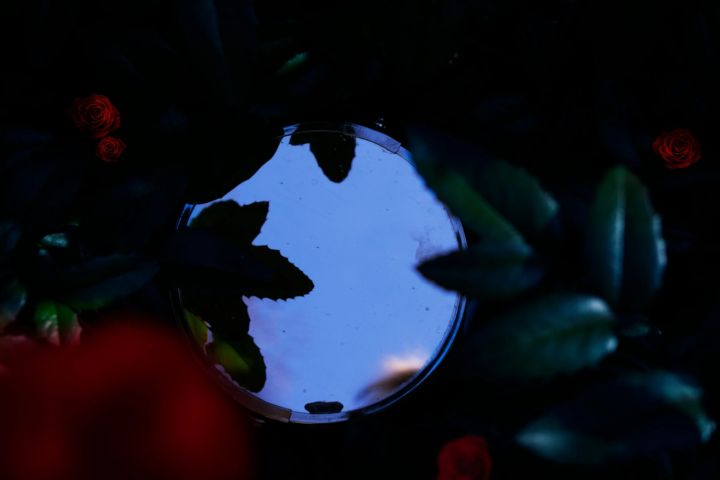 a mirror and red flowers in it