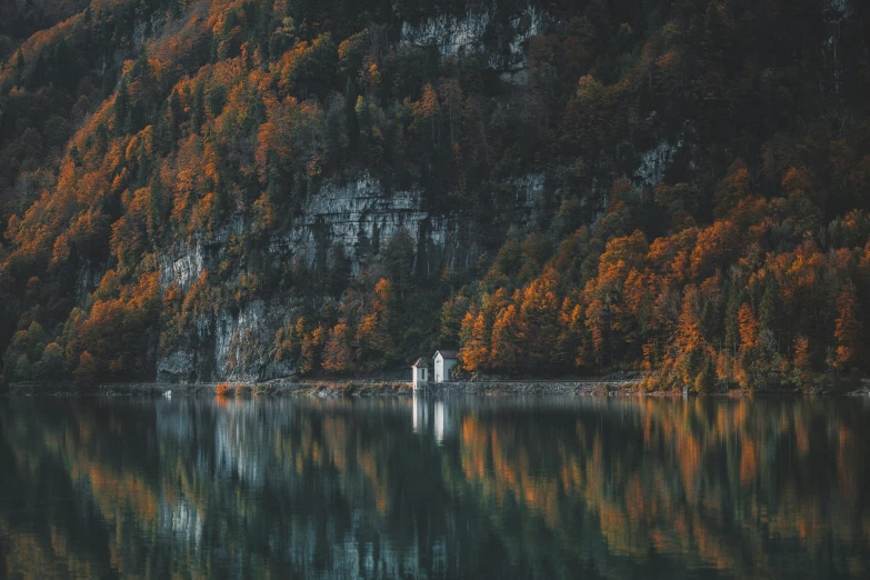 a painting with trees in the background