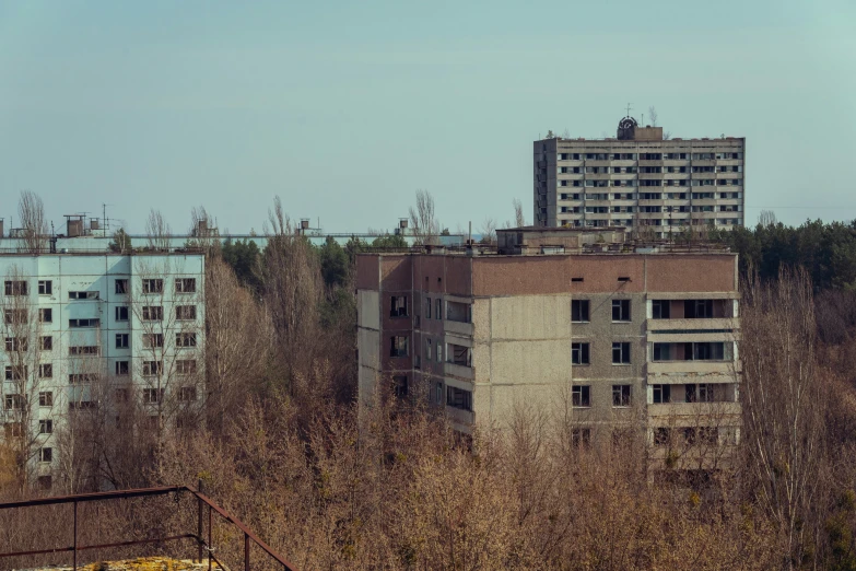 some buildings are in a forest near some trees