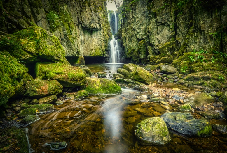 a small waterfall in a mossy jungle with clear blue sky