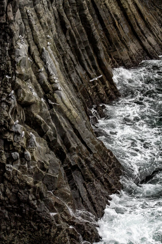 a black and white po of rocks on a river