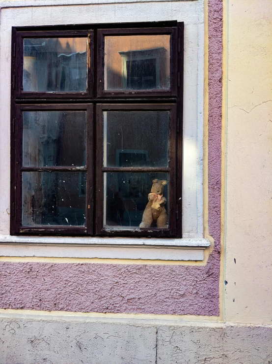 a dog sitting in a window looking at its surroundings