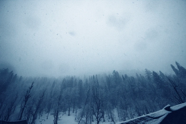 a blurry po of a snow covered forest