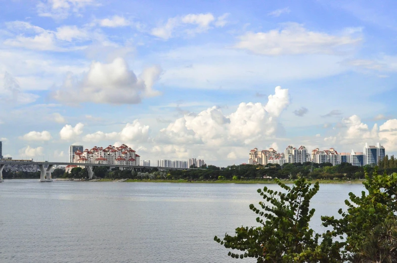 a large body of water near a lush green forest