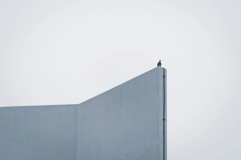 a bird sitting on top of the corner of a building