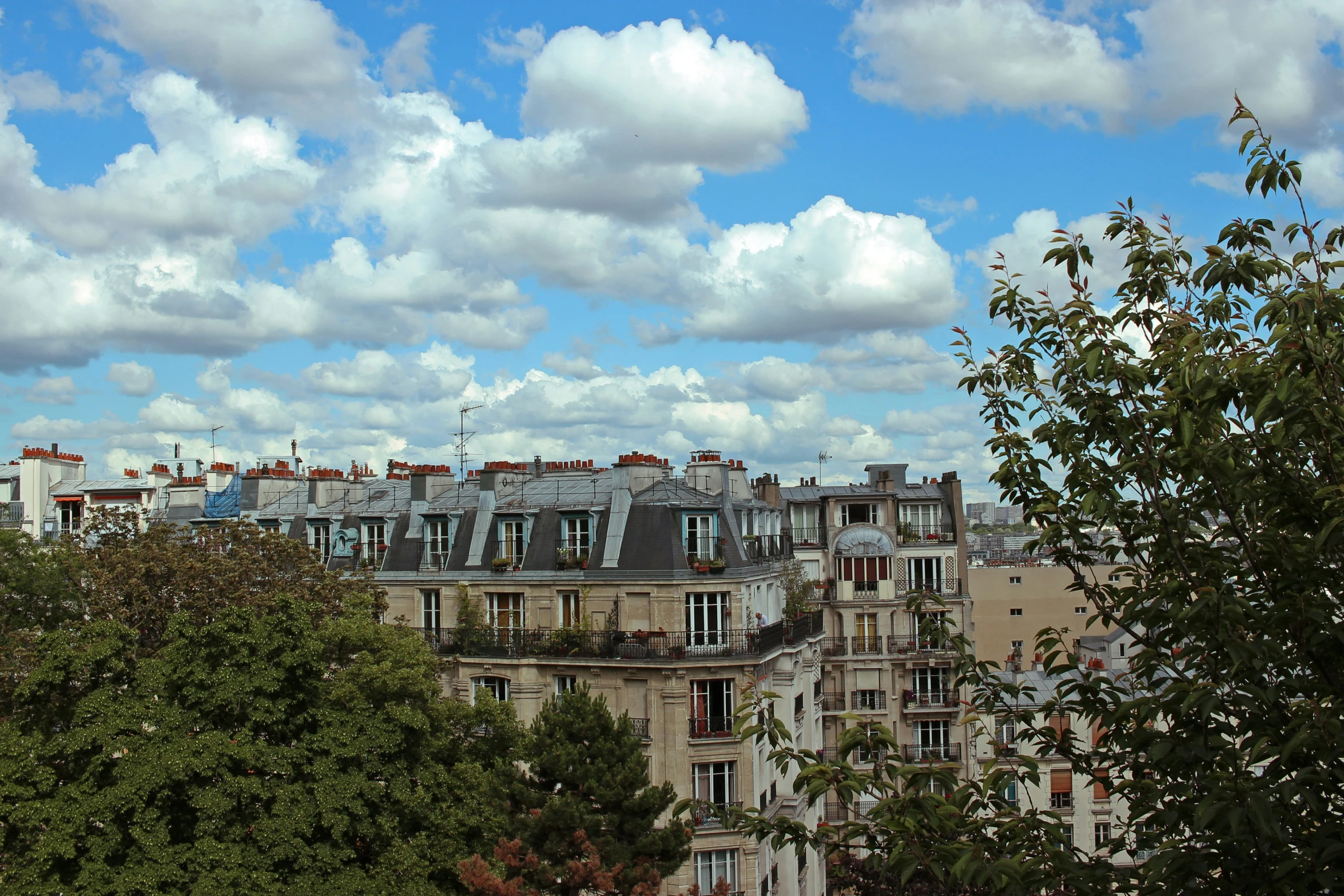 old buildings stand on the edge of an area