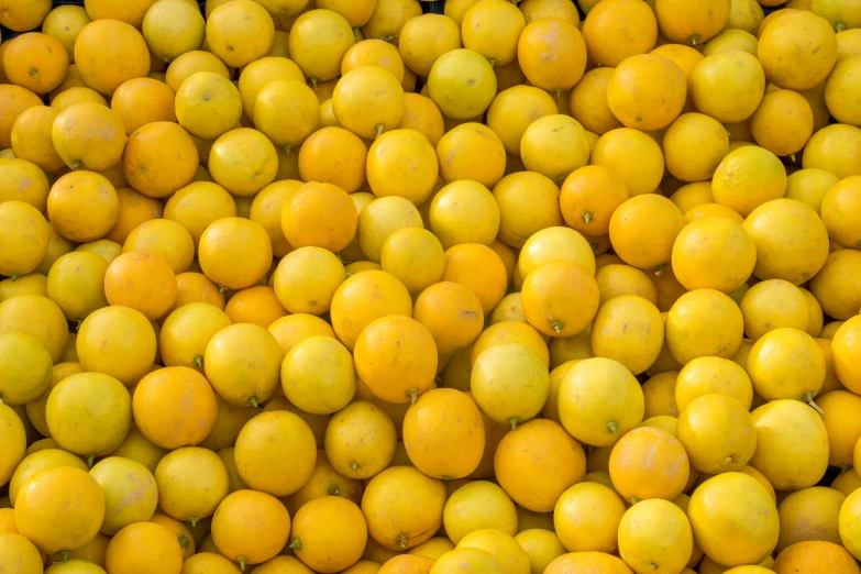 a large bunch of lemons sitting inside of a container