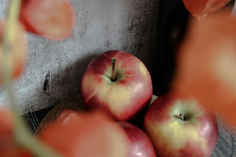 apples on display in front of wall next to orange