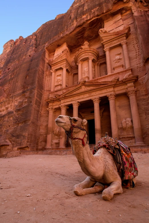 a camel is sitting in front of some building