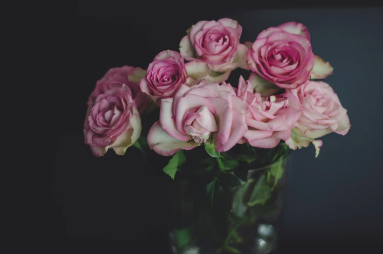 a vase filled with pink roses against a dark background