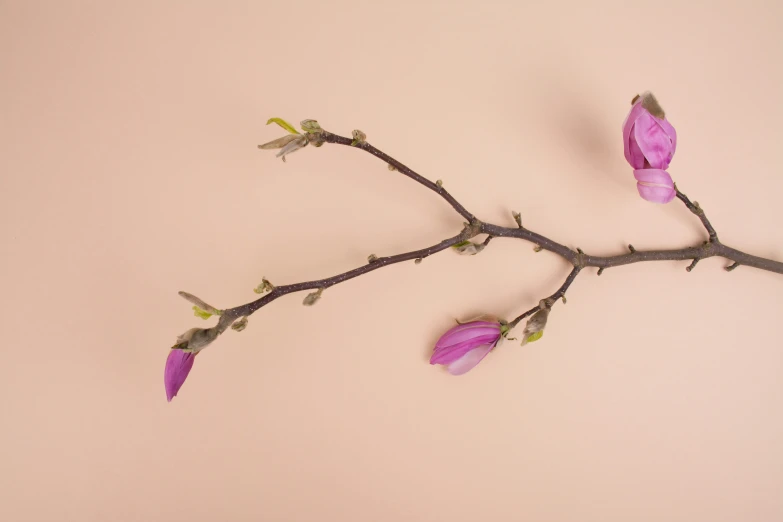 a nch with flowers on a light pink background