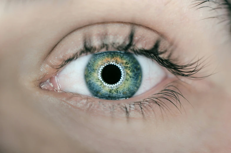 an image of the iris of a person's eye