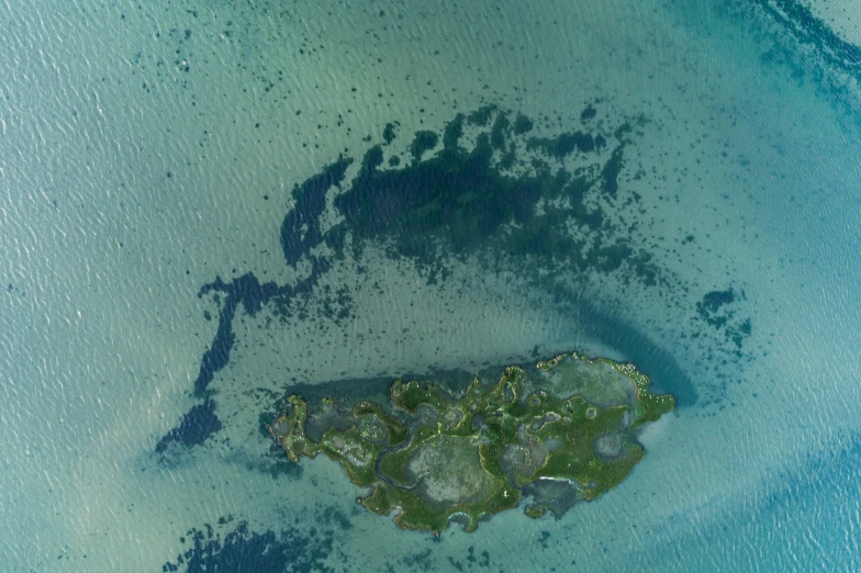 an aerial view of a very small island in the water