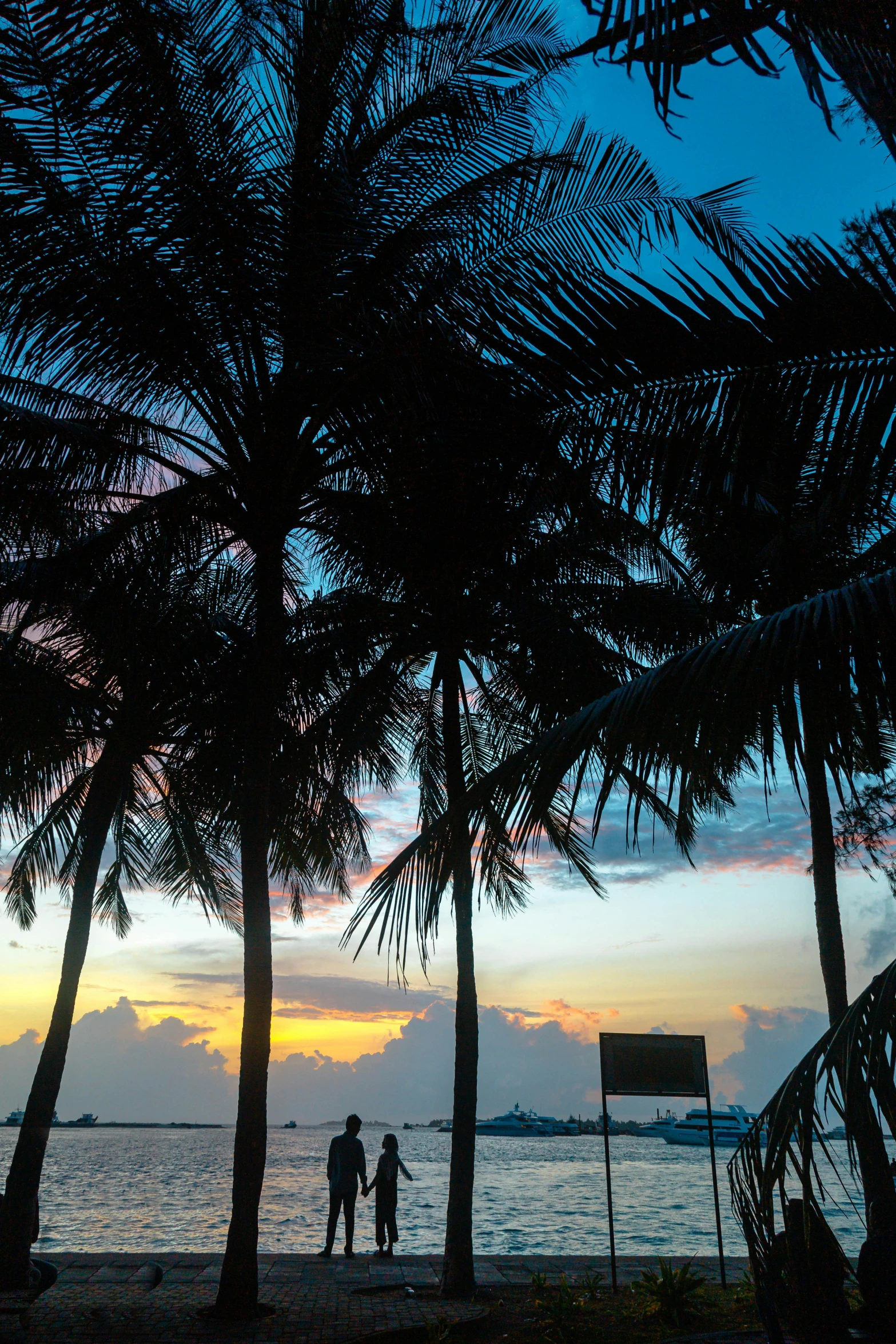 two people standing on the beach by a palm tree