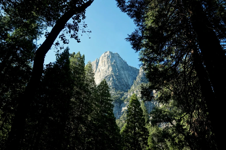 a mountain through the trees and some sky