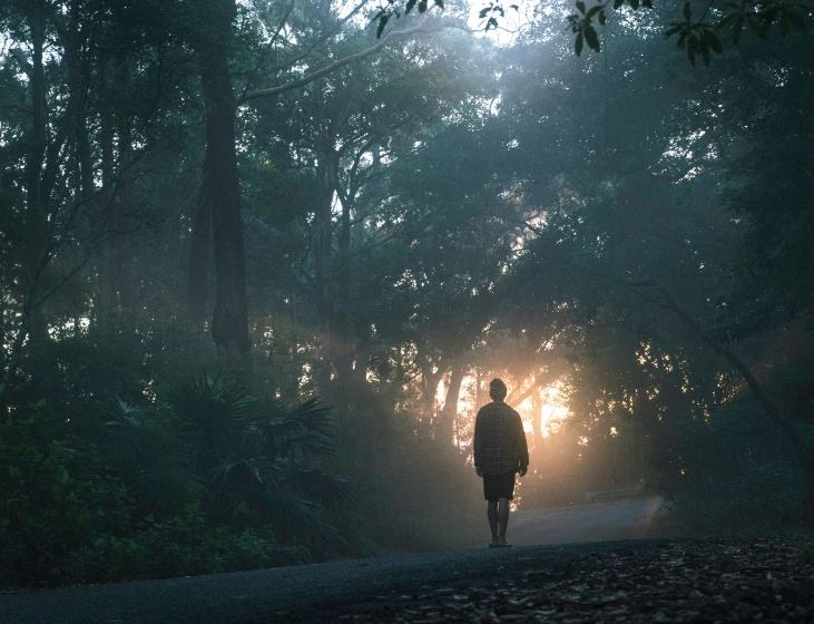 person walking into the distance on a road surrounded by trees