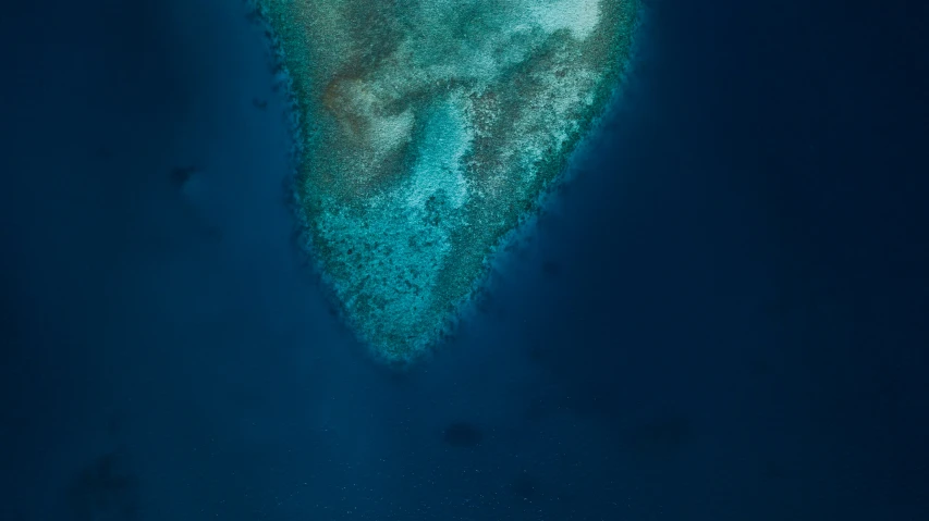 a po taken from above shows the bottom of a wave breaking into a reef