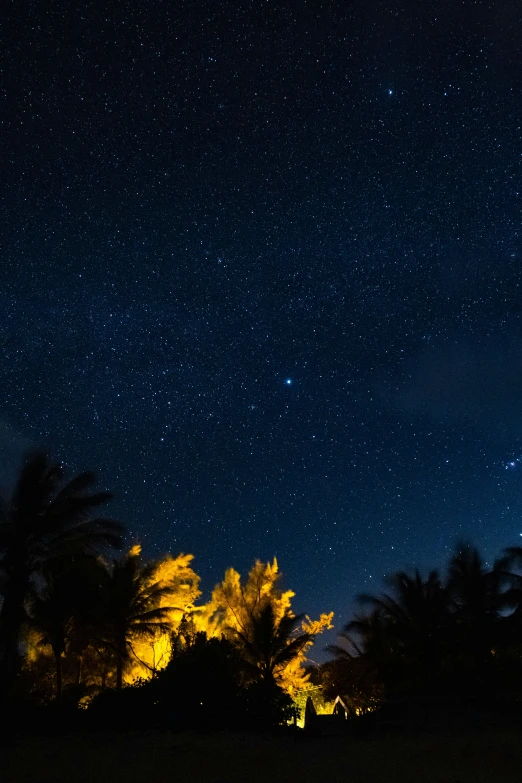 night sky filled with stars and clouds above trees